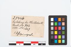 Etikett zu Tierzahn (NHMW-PRAE-025446)